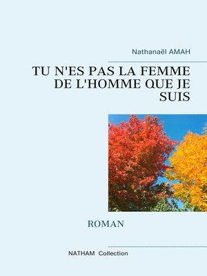 cover image of TU N'ES PAS LA FEMME DE L'HOMME QUE JE SUIS